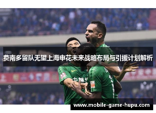 费南多留队无望上海申花未来战略布局与引援计划解析