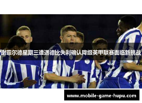 谢菲尔德星期三遭遇德比失利确认降级英甲联赛面临新挑战