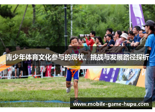 青少年体育文化参与的现状、挑战与发展路径探析
