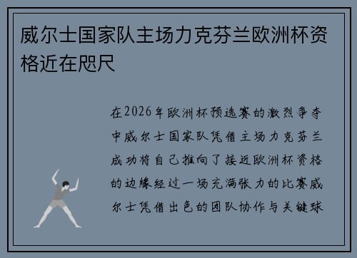 威尔士国家队主场力克芬兰欧洲杯资格近在咫尺